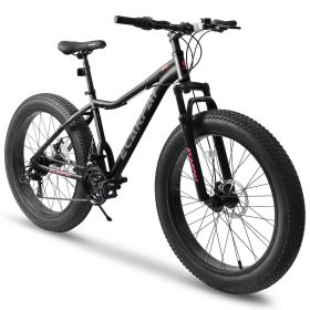 Ecarpat 26 Inch Fat Tires Mountain Bike, 4-Inch Wide Wheel, 21-Speed Disc Brakes, Mens Womens Trail Beach Snow Commuter City Mountain Bike